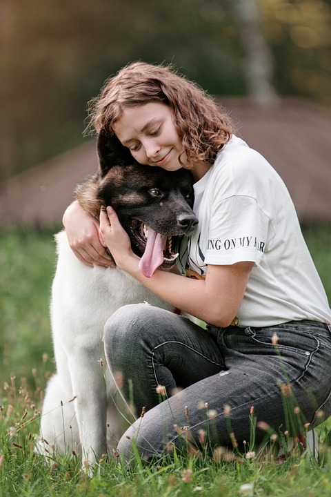 The Ultimate Guide to Flying with Pets: How to Make Your Journey Stress-Free