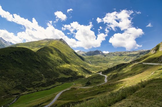 Wanderlust Pup: How to Plan the Perfect Adventure with Your Dog