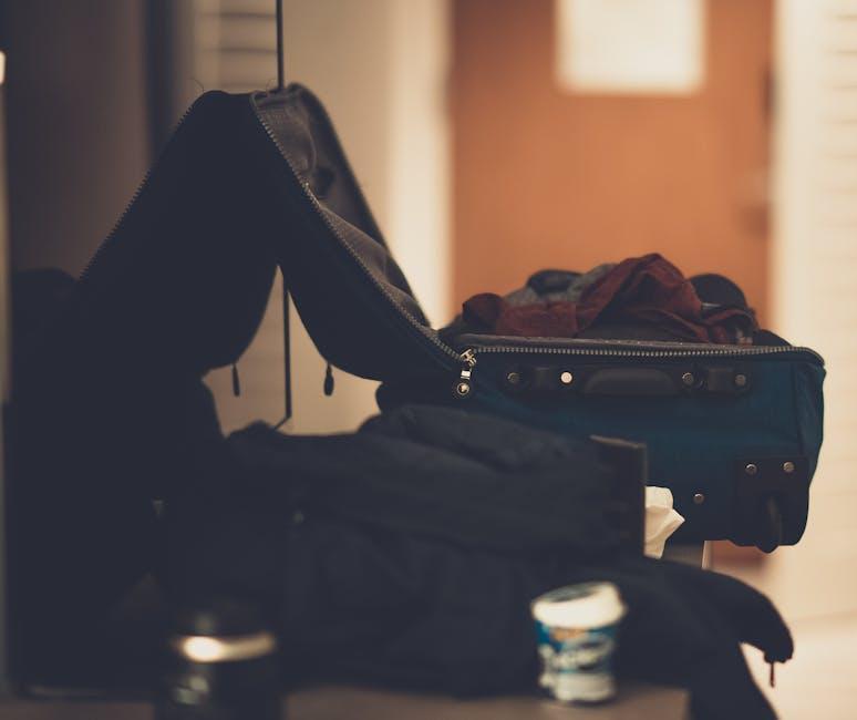 Packing Essentials for Your Furry Companion