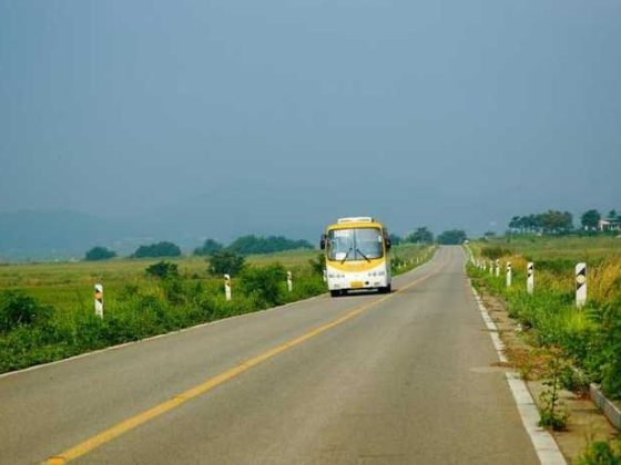 Hop on Board: The Joys of Traveling by Bus!