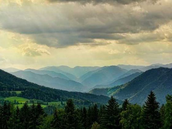 Pack Like a Pro: Fun Tips for Stress-Free Travel