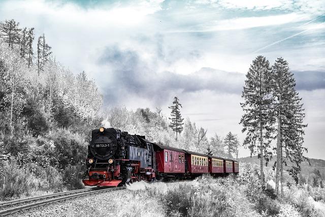 Chasing the Thrill: Unique Activities That Will Get Your Heart Racing