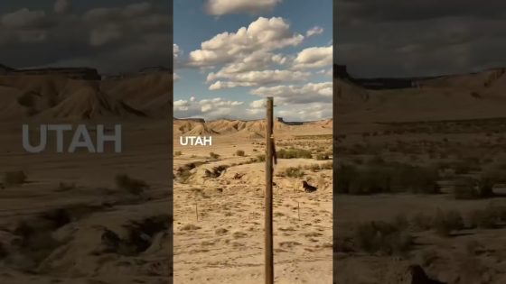 The best “road trips” include California Zephyr and ever-changing views. 😍 #shorts #amtrak #train