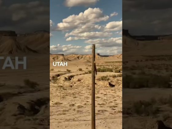 The best “road trips” include California Zephyr and ever-changing views. 😍 #shorts #amtrak #train