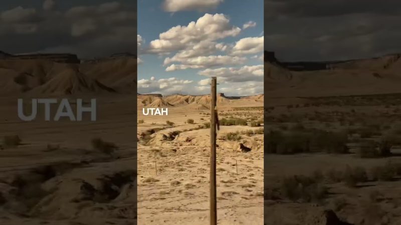 The best “road trips” include California Zephyr and ever-changing views. 😍 #shorts #amtrak #train