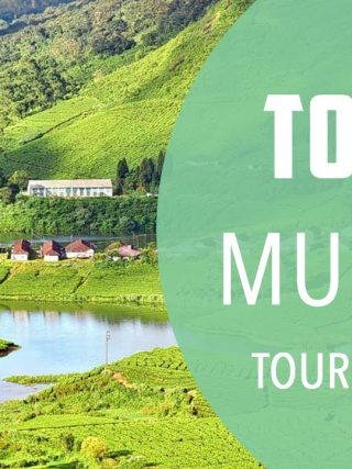 Top 10 Best Tourist Places to Visit in Munnar | India – English